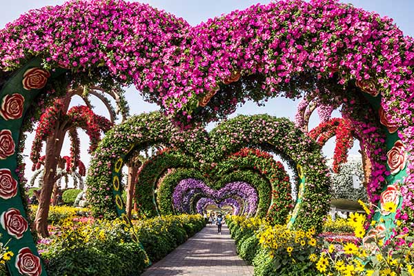 Dubai Miracle Garden Dubai Miracle Garden