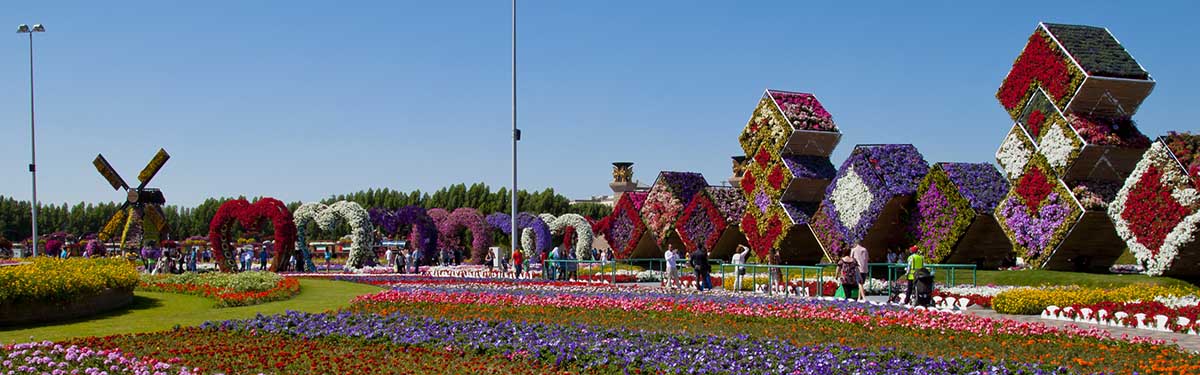 Dubai Miracle Garden Dubai Miracle Garden
