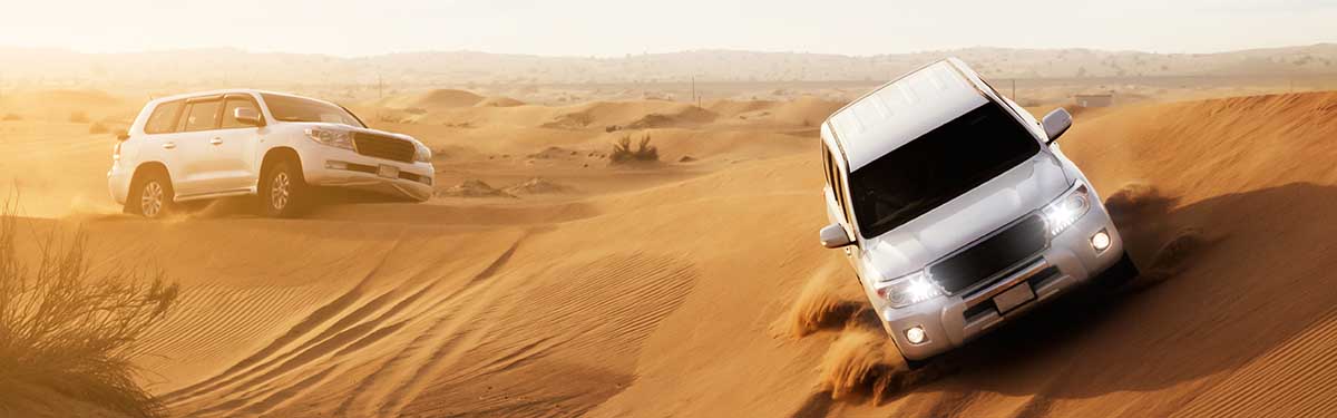 Safari dans le désert à Dubaï Safari dans le désert
