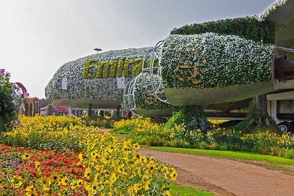 Miracle Garden Miracle Garden